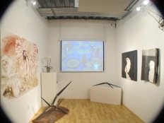 Installation view of launch show at A Simple Collective, 2013 (photo by Tim Roseborough)
