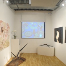 Installation view of launch show at A Simple Collective, 2013 (photo by Tim Roseborough)